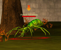 Forest tarantua arrow targetted