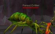 Forest Critter