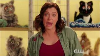 Buttload Of Cats Crazy Ex Girlfriend Wiki Fandom