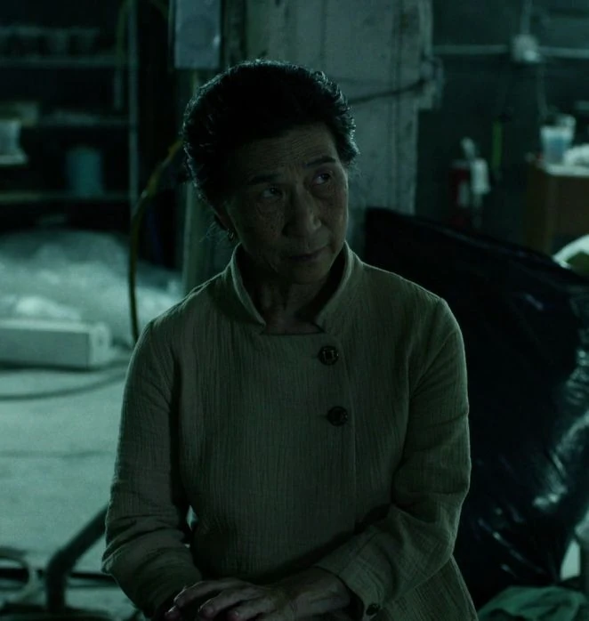 Madame Gao S.H.I.E.L.D. Files Wiki FANDOM powered by Wikia