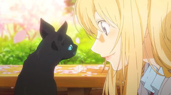 The Cat Shigatsu Wa Kimi No Uso Wiki Fandom