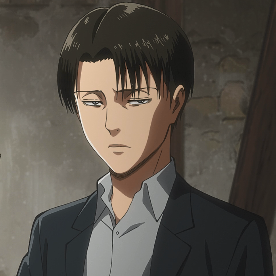 Levi Ackerman Shingeki no Kyojin Wiki FANDOM powered