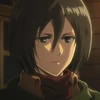 Mikasa Ackerman (anime)