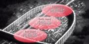 180px-Shingeki-no-kyojin-1813405