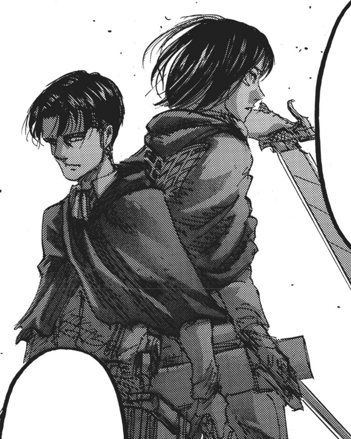 Ackerman Clan Attack On Titan Wiki Fandom