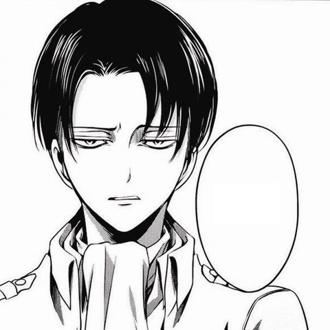 Levi (No Regrets) | Attack on Titan Wiki | FANDOM powered by Wikia