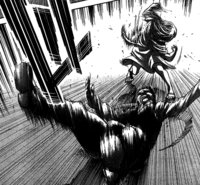 Historia flips Rod