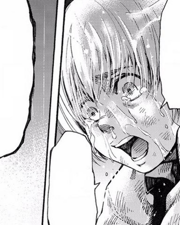 Armin Arlert Lost Girls Attack On Titan Wiki Fandom