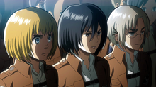 Armin and Rico comment the behavior of wall supporters