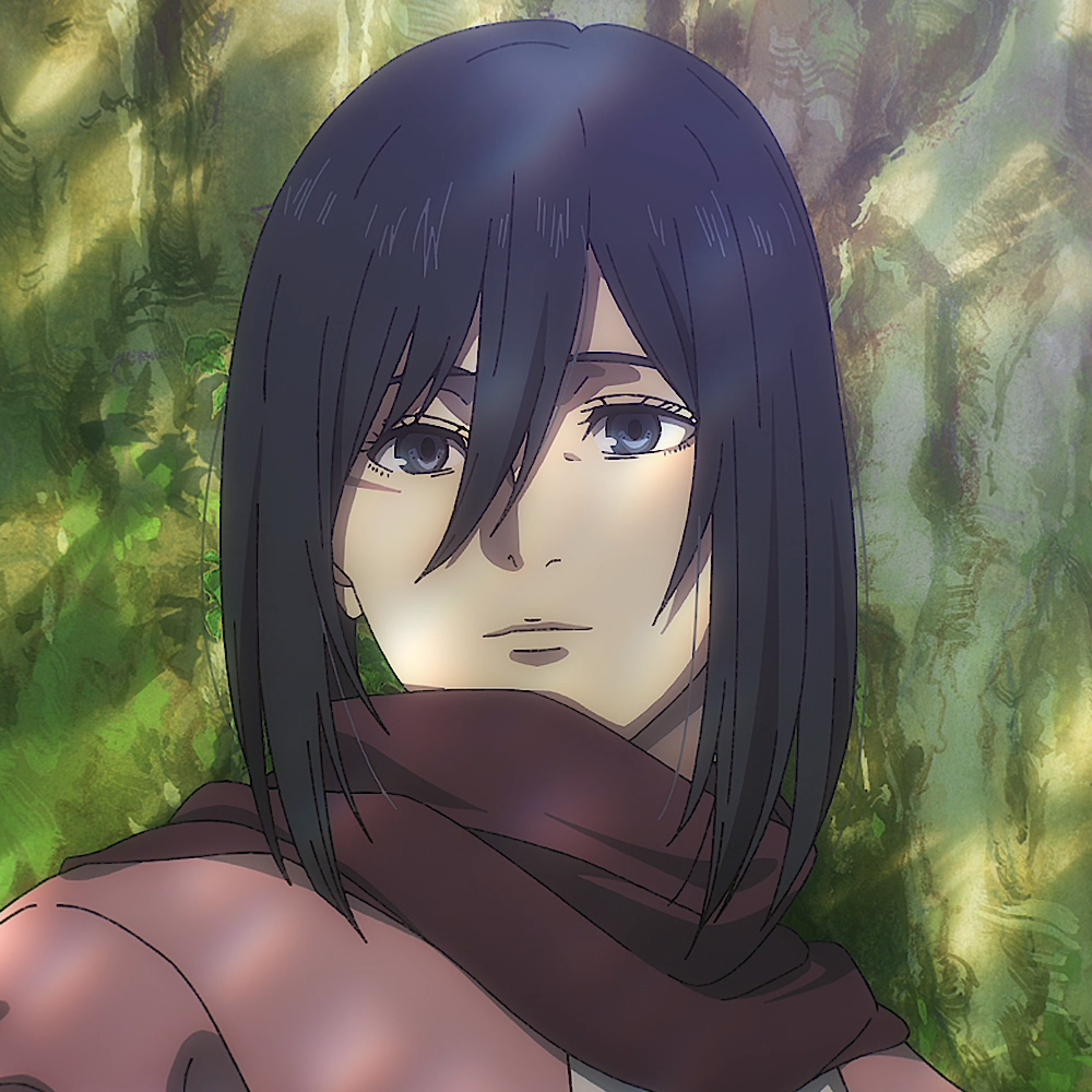 Image result for mikasa