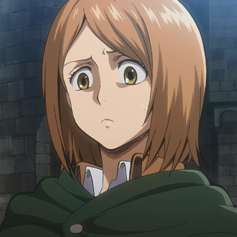 قائمة الشخصيات ويكي Shingeki No Kyojin Fandom