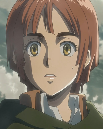 Nifa Anime Attack On Titan Wiki Fandom