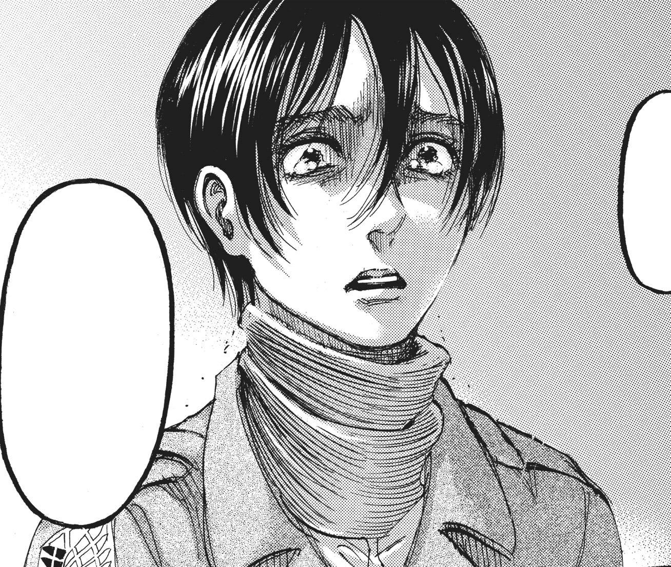 Shingeki No Kyojin Season 4 Mikasa - Trend Meme