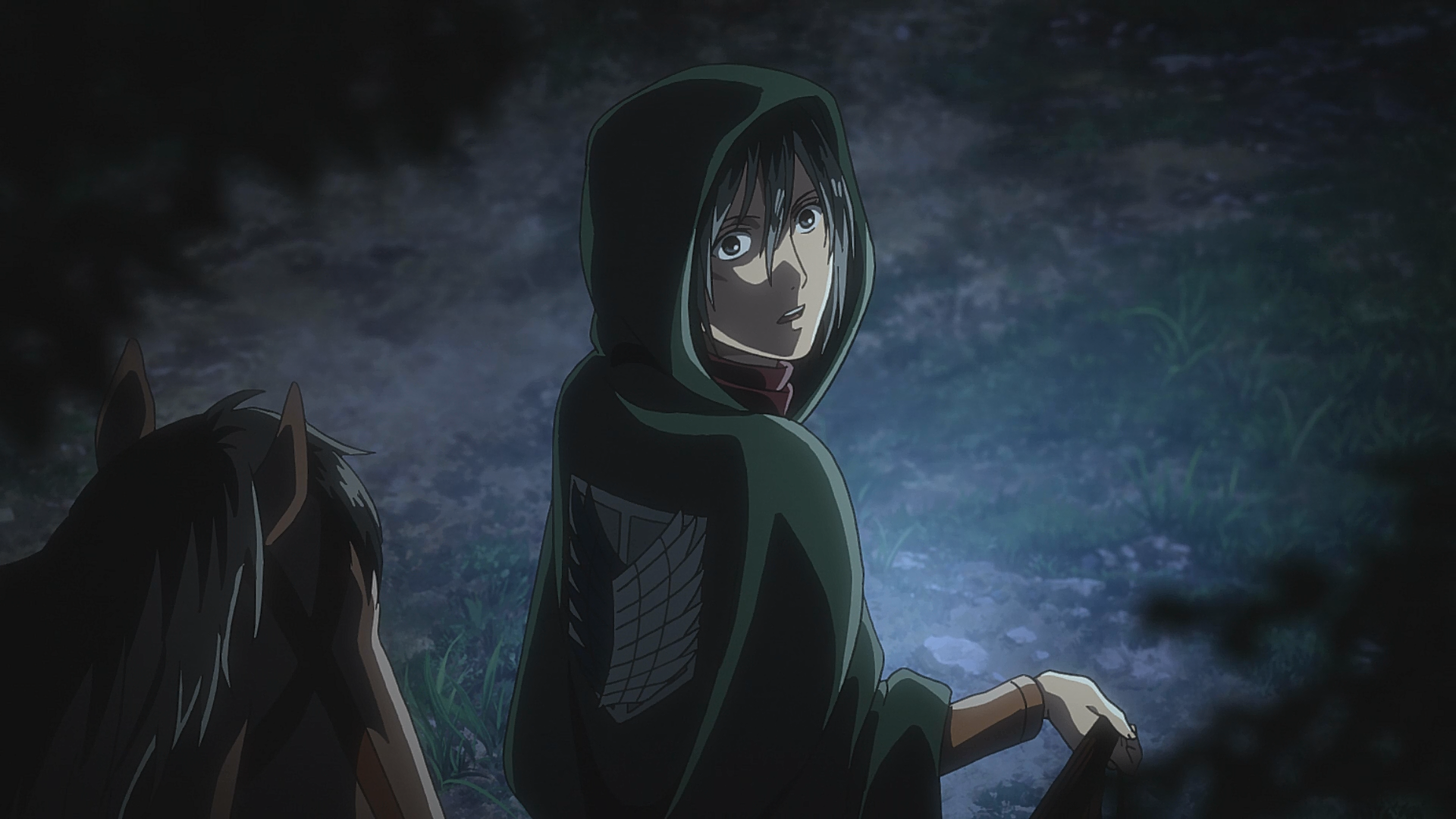 Mikasa Ackermann Anime Attack On Titan Wiki Fandom