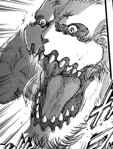 File:Galliard's Jaw Close Up.jpg