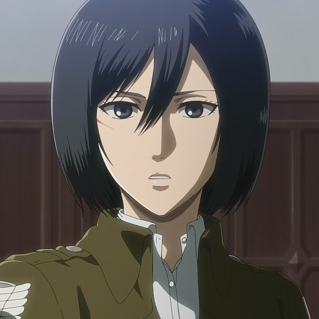 Mikasa Ackermann (Anime) | Attack on Titan Wiki | Fandom