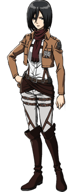 Mikasa&#039;s appearance