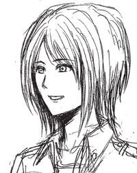 Sasha Original Design
