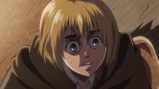 Le plan d'Armin