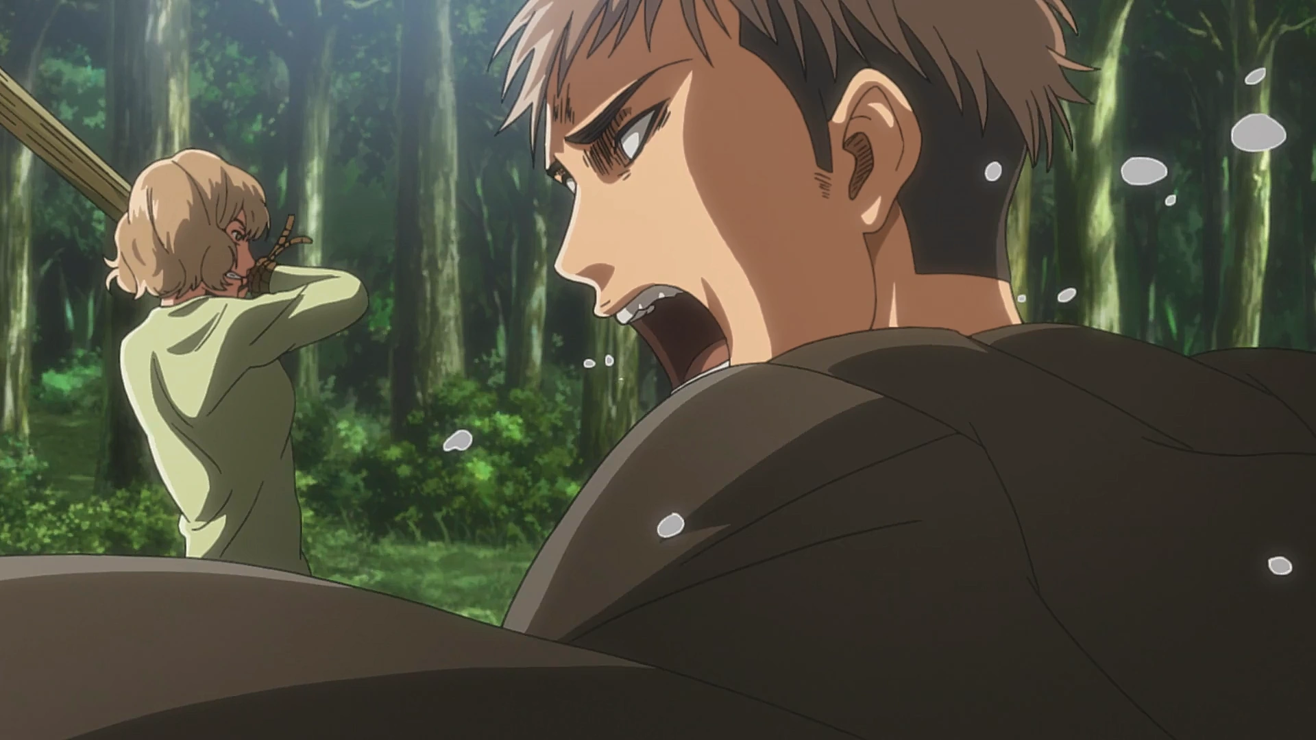 Hitch Dreyse Shingeki no Kyojin Wiki Fandom