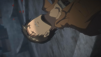 Samuel Linke Jackson Anime Attack On Titan Wiki Fandom