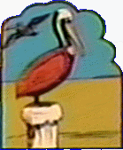 PelicanFalls