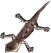 Gecko