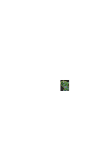 File:ResizedMap.png