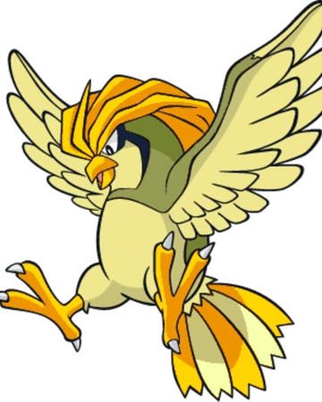 Pidgeotto Shiny Pokemon Wiki Fandom