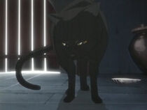 Yuri Cat Form
