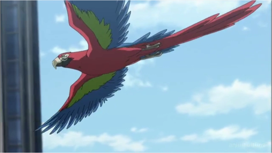 Tori Tori no Mi, Model: Parrot | One Piece: Ship of fools Wiki | FANDOM ...