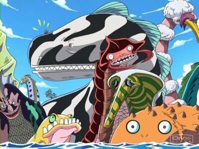 OnePieceSeaking