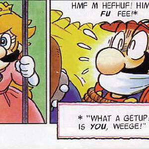 Mario Brothers Shipping Wiki Fandom