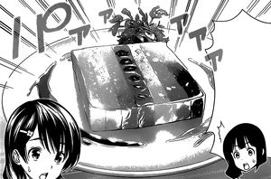 Rainbow Terrine | Shokugeki no Soma Wiki | FANDOM powered by Wikia