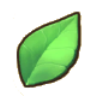 Herbs