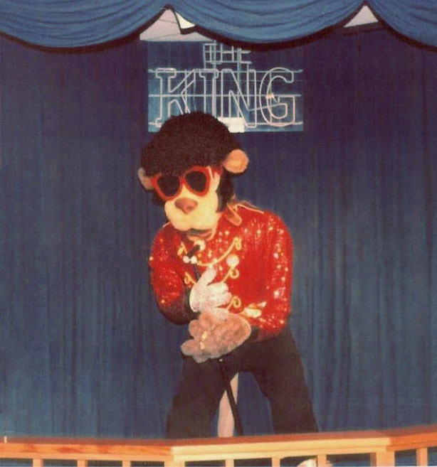 King Kat Pizza Wiki Fandom