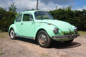 Bug-1