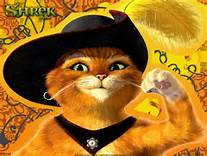 Gato poster
