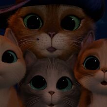 Puss In Boots Wikishrek Fandom