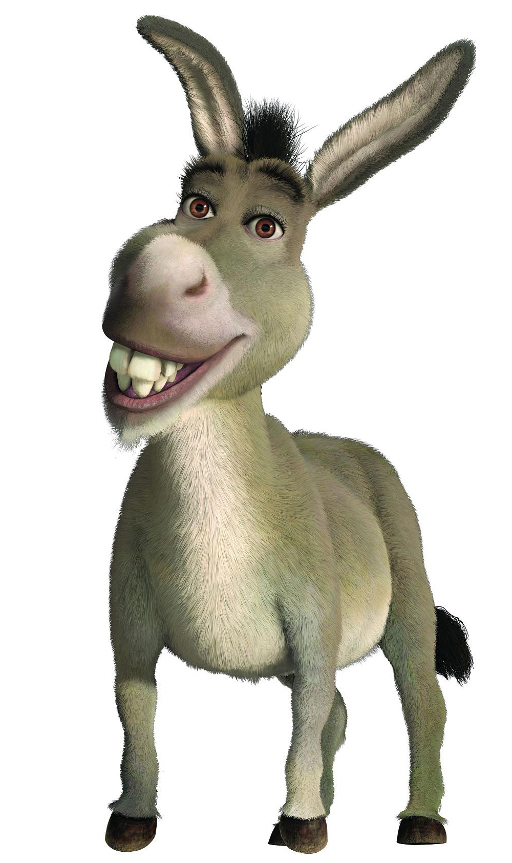 Donkey species WikiShrek FANDOM Powered By Wikia