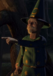 A stereotypical wizard in Shrek 1