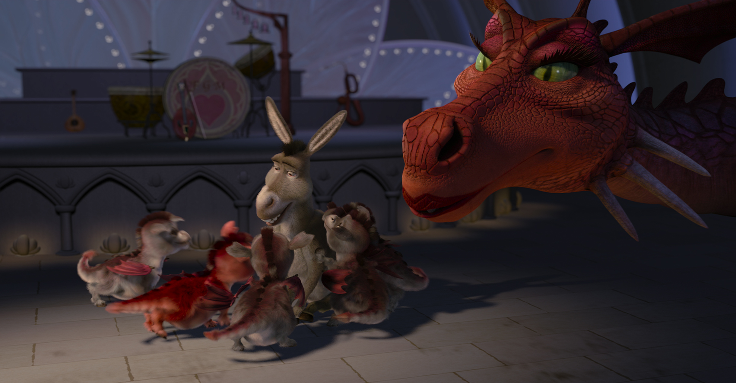 Donkey and dragon videos