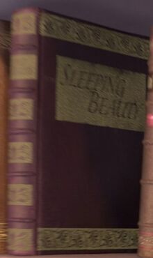 Sleeping Beauty storybook
