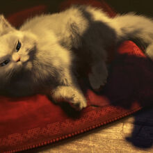 Puss In Boots Wikishrek Fandom