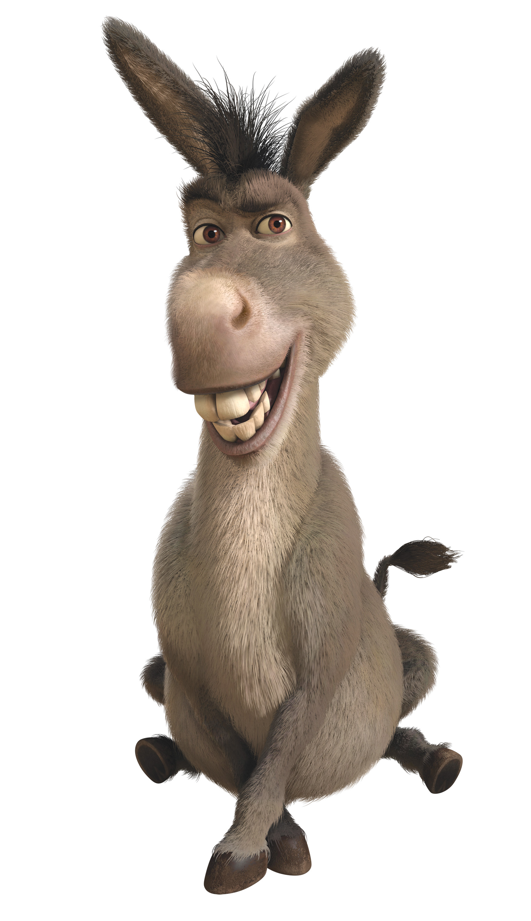 Image result for shrek donkey