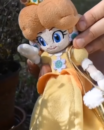 Princess Daisy Shroomsurvivalguide Wiki Fandom
