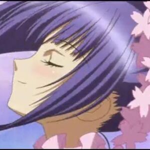 Get Wallpaper Nagihiko Fujisaki Shugo Chara Wiki Fandom HD