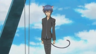Wallpaper Ikuto Tsukiyomi Shugo Chara Wiki Fandom For Android