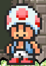 Toad 2