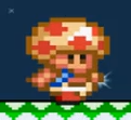 Toad